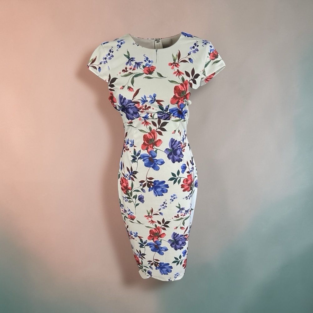 ALEXIA ADMORE Pale Green Cap Sleeve Sheath Midi w/Red & Blue Blooms. Sz: 8. $85.